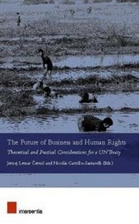 Enlarge image Cover: The Future of Business and Human Rights - Intersentia Ltd