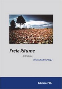 Enlarge image Cover: Freie Räume - fza
