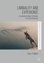 Cover: Liminality and Experience - Palgrave Macmillan
