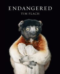 Enlarge image Cover: Endangered - Abrams