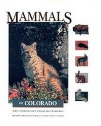 Enlarge image Cover: Mammals of Colorado - University Press of Colorado
