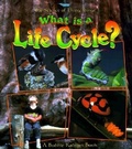 Cover: What Is A Life Cycle? - Crabtree Publishing Co,US