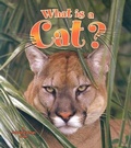 Cover: What is a Cat - Crabtree Publishing Co,US