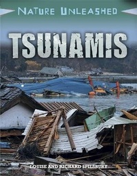 Enlarge image Cover: Nature Unleashed: Tsunamis - Franklin Watts Ltd