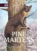 Cover: Pine Martens - Whittet Books Ltd