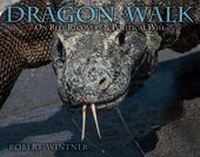 Abbildung von: Dragon Walk - Skyhorse Publishing
