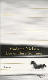Abbildung von: Der endlose Sommer - Kiepenheuer & Witsch