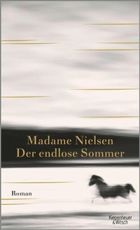 Abbildung von: Der endlose Sommer - Kiepenheuer & Witsch