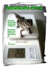 Abbildung von: PAROEDURA PICTA (Großkopfgeckos) - epubli