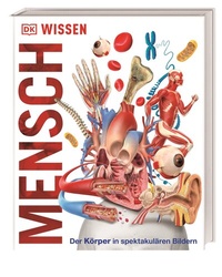 Abbildung von: DK Wissen. Mensch - Dorling Kindersley Verlag