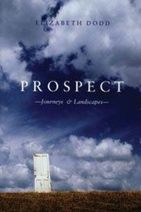 Enlarge image Cover: Prospect - University of Utah Press,U.S.