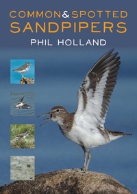Enlarge image Cover: Common and Spotted Sandpipers - Whittles Publishing