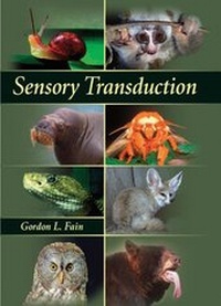 Abbildung von: Sensory Transduction - Oxford University Press Inc