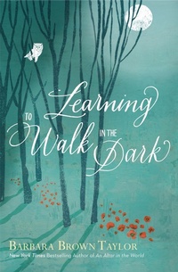 Enlarge image Cover: Learning to Walk in the Dark - HarperCollins