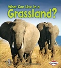 Cover: What Can Live in a Grassland? - Lerner Publications Co ,U.S.