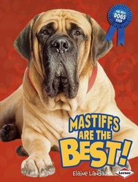 Enlarge image Cover: Mastiffs Are the Best! - Lerner Publications Co ,U.S.