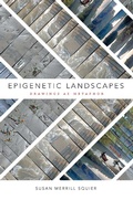 Cover: Epigenetic Landscapes - De Gruyter