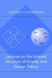Enlarge image Cover: Lectures on the Infrared Structure of Gravity and Gauge Theory - Princeton University Press