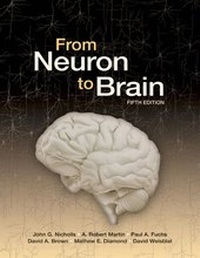Abbildung von: From Neuron to Brain - Oxford University Press Inc