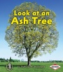 Cover: Look at an Ash Tree - LernerClassroom