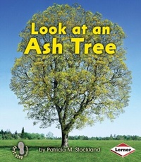 Enlarge image Cover: Look at an Ash Tree - LernerClassroom