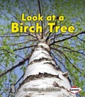 Cover: Look at a Birch Tree - LernerClassroom