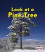 Cover: Look at a Pine Tree - LernerClassroom
