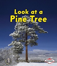 Enlarge image Cover: Look at a Pine Tree - LernerClassroom