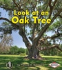 Cover: Look at an Oak Tree - LernerClassroom