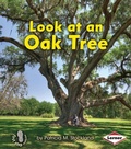 Cover: Look at an Oak Tree - LernerClassroom