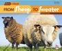 Cover: From Sheep to Sweater - Lerner Publications Co ,U.S.