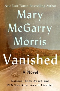 Enlarge image Cover: Vanished - Open Road Media