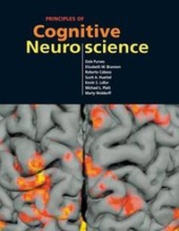 Enlarge image Cover: Principles of Cognitive Neuroscience - Sinauer Associates Inc.,U.S.