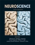 Cover: Neuroscience - Sinauer Associates Inc.,U.S.