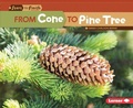 Cover: From Cone to Pine Tree - Lerner Publications Co ,U.S.