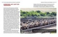 Cover: The Truth Behind Antibiotics, Pesticides, and Hormones - Rosen Central