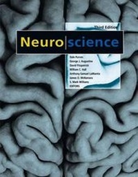 Abbildung von: Neuroscience Including Sylvius CD-ROM - Sinauer Associates Inc.,U.S.