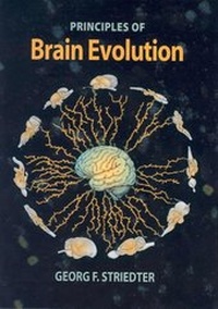 Enlarge image Cover: Brain Evolution - Oxford University Press Inc