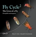 Cover: Fly Cycle 2 - Oxford University Press Inc
