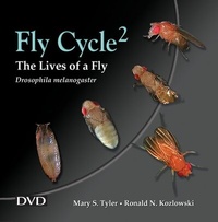 Enlarge image Cover: Fly Cycle 2 - Oxford University Press Inc