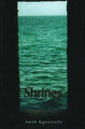 Cover: Shrines - Third World Press,U.S.
