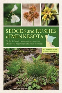 Enlarge image Cover: Sedges and Rushes of Minnesota - University of Minnesota Press