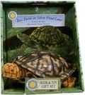 Cover: Box Turtle at Silver Pond Lane - Soundprints