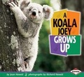 Cover: A Koala Joey Grows Up - Carolrhoda Books