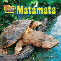 Enlarge image Cover: Matamata - Bearport Books