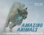 Cover: Amazing Animals - Tundra Books