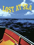 Cover: Lost at Sea - Pfeiffer Wiley