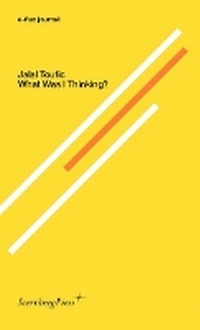 Enlarge image Cover: What Was I Thinking? - Sternberg Press