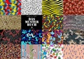 Cover: Das Musterbuch - Aster Publications