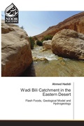 Cover: Wadi Bili Catchment in the Eastern Desert - Noor Publishing